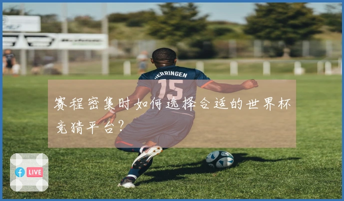赛程密集时如何选择合适的世界杯竞猜平台？