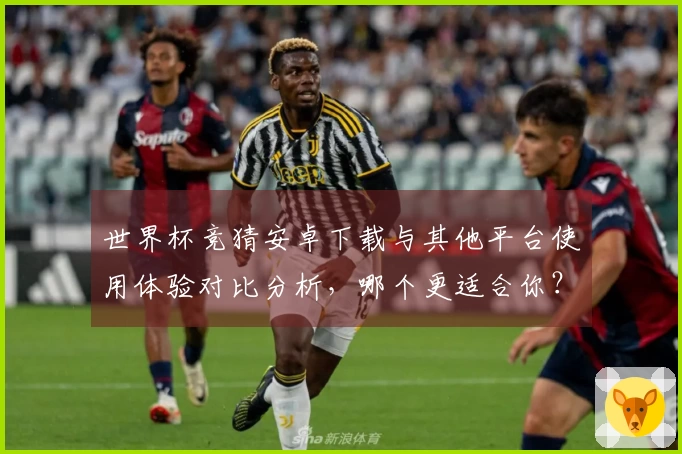 世界杯竞猜安卓下载与其他平台使用体验对比分析,哪个更适合你?