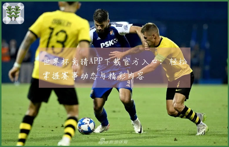世界杯竞猜APP下载官方入口：轻松掌握赛事动态与精彩内容