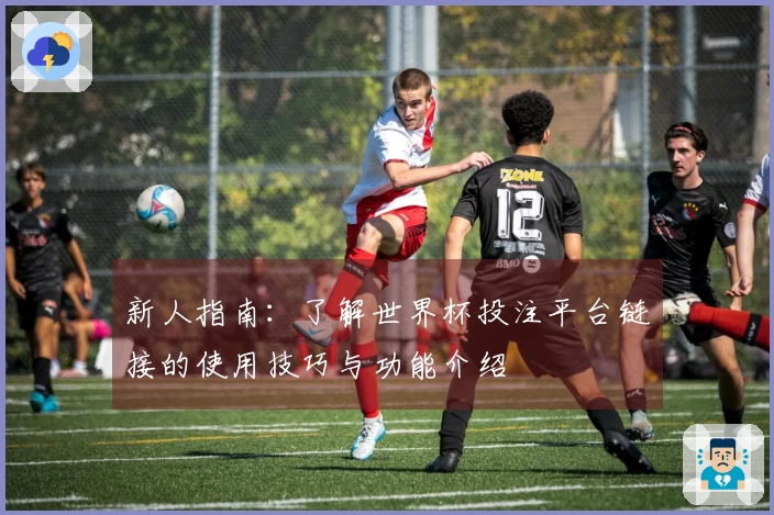 新人指南：了解世界杯投注平台链接的使用技巧与功能介绍
