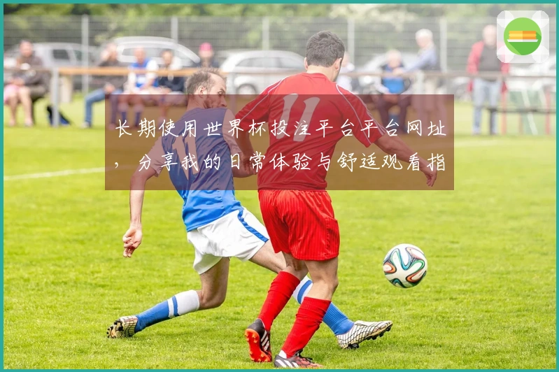 长期使用世界杯投注平台平台网址，分享我的日常体验与舒适观看指南