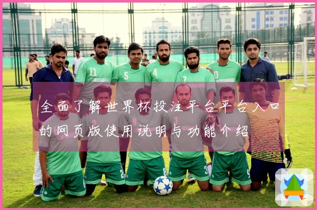 全面了解世界杯投注平台平台入口的网页版使用说明与功能介绍