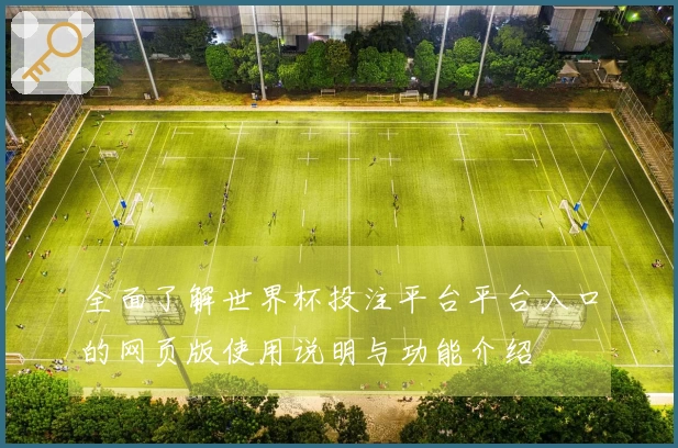 全面了解世界杯投注平台平台入口的网页版使用说明与功能介绍