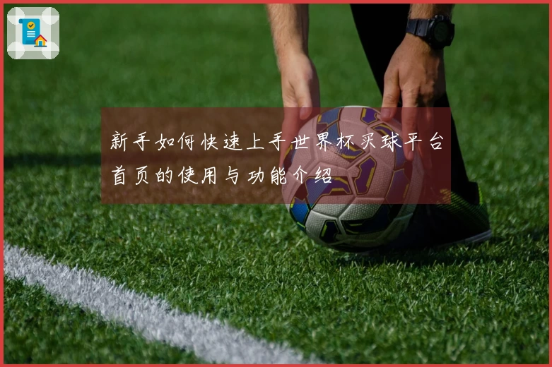 新手如何快速上手世界杯买球平台首页的使用与功能介绍
