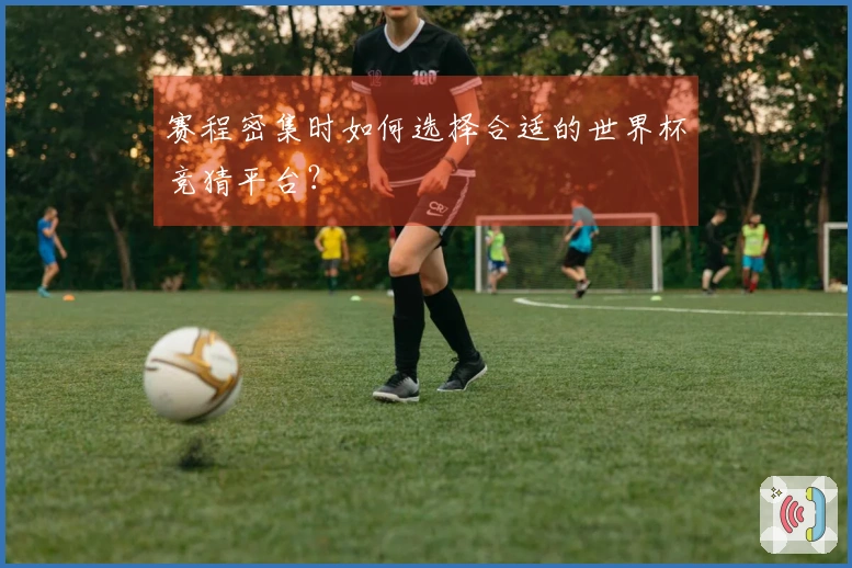 赛程密集时如何选择合适的世界杯竞猜平台？