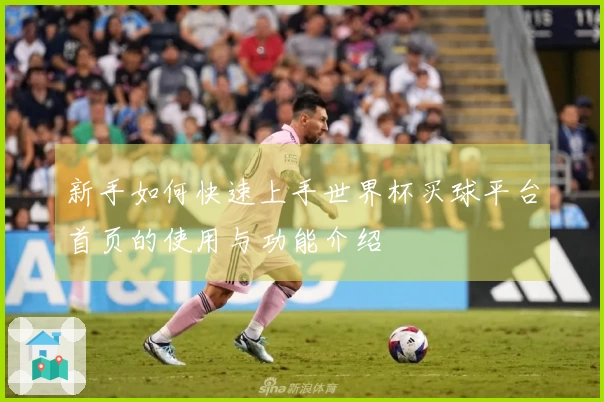 新手如何快速上手世界杯买球平台首页的使用与功能介绍
