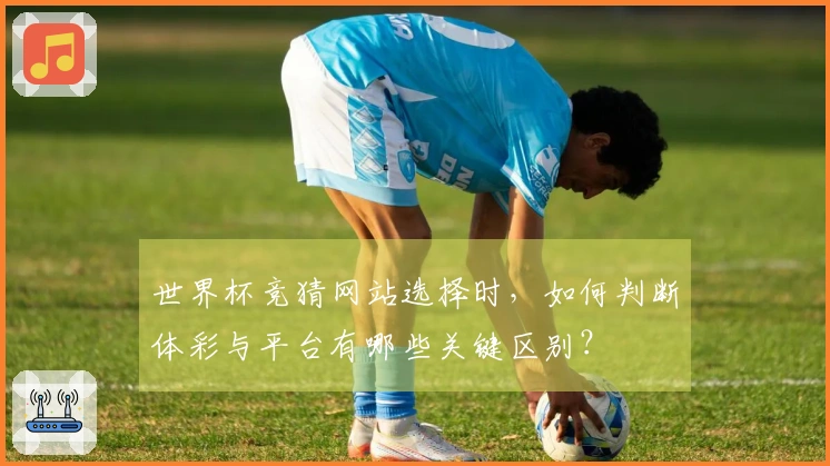 世界杯竞猜网站选择时，如何判断体彩与平台有哪些关键区别？
