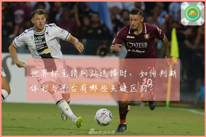 世界杯竞猜网站选择时，如何判断体彩与平台有哪些关键区别？