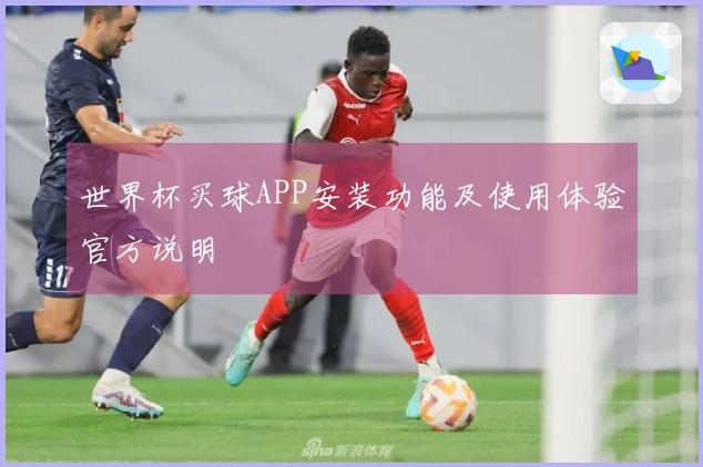 世界杯买球APP安装功能及使用体验官方说明